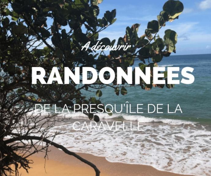 Ananas Premium - Sejour Detente T2 Vue Mer Avec Balcon Prive A Tartane La Trinité Exteriör bild